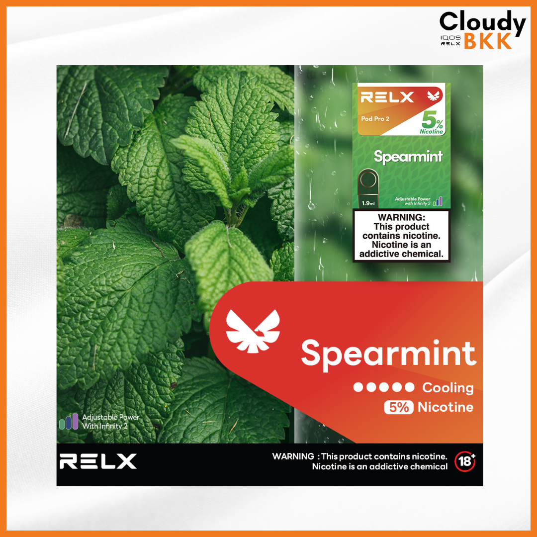 RELX INFINITY PRO POD2