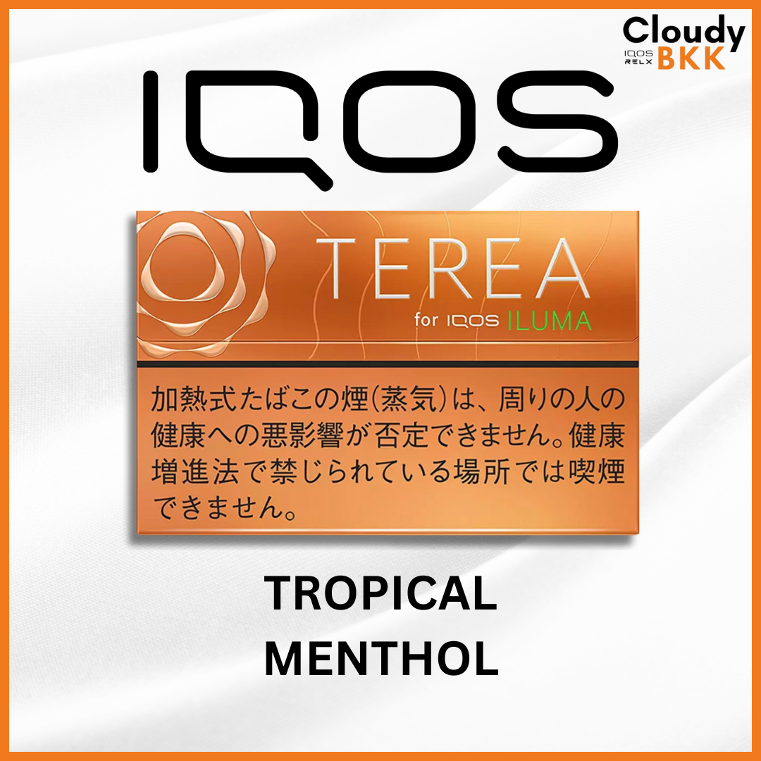 (IQOS) Terea Japan
